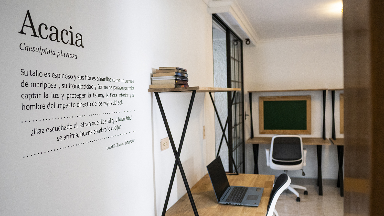 programadores-de-software-oficina