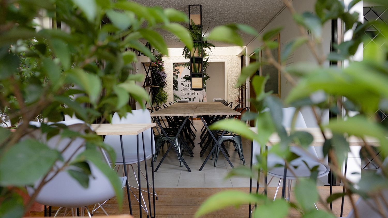 programadores-de-software-oficina